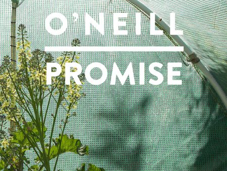 Promise | Mandy O´Neill Sale