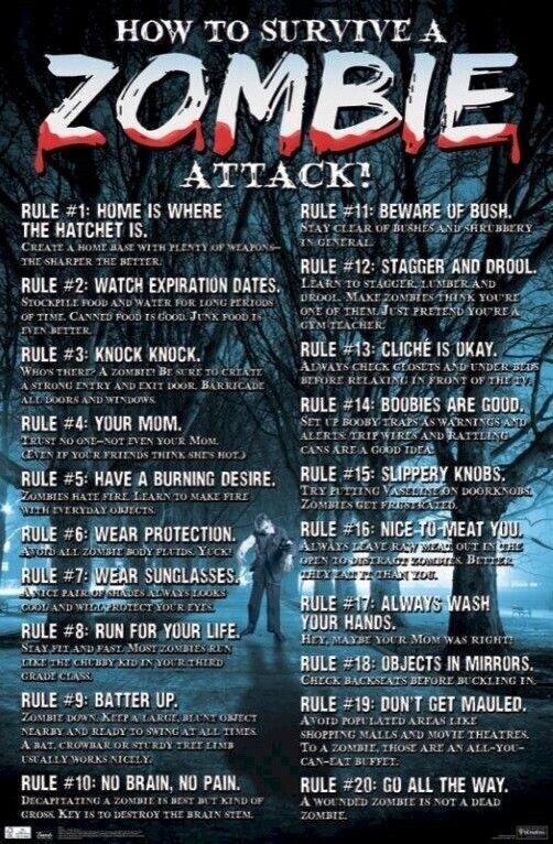 ZOMBIES ~ HOW TO SURVIVE AN ATTACK ~ 22x34 POSTER ~ Zombies 20 Rules Apocalypse Discount