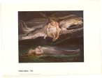 WILLIAM BLAKE ~ PITY 24x32 FINE ART POSTER Print NEW ROLLED! Discount