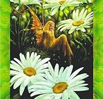 ART POSTER ~ FAIRIES DAISY FAIRY FANTASY FAERY Hot on Sale