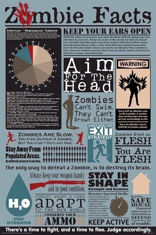 ZOMBIE POSTER ~ FACTS 24x36 Zombies Time To Fight Flee Aim For Head Feed Flesh Supply